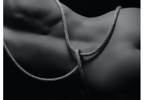 The most popular 7 erotic fantasies